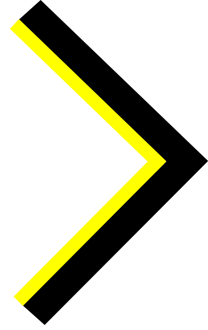 Next Image Next Image